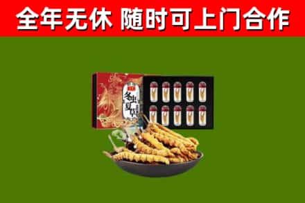柳河回收冬虫夏草价格