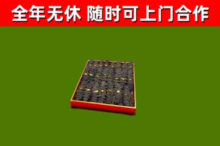 柳河烟酒回收海参.jpg